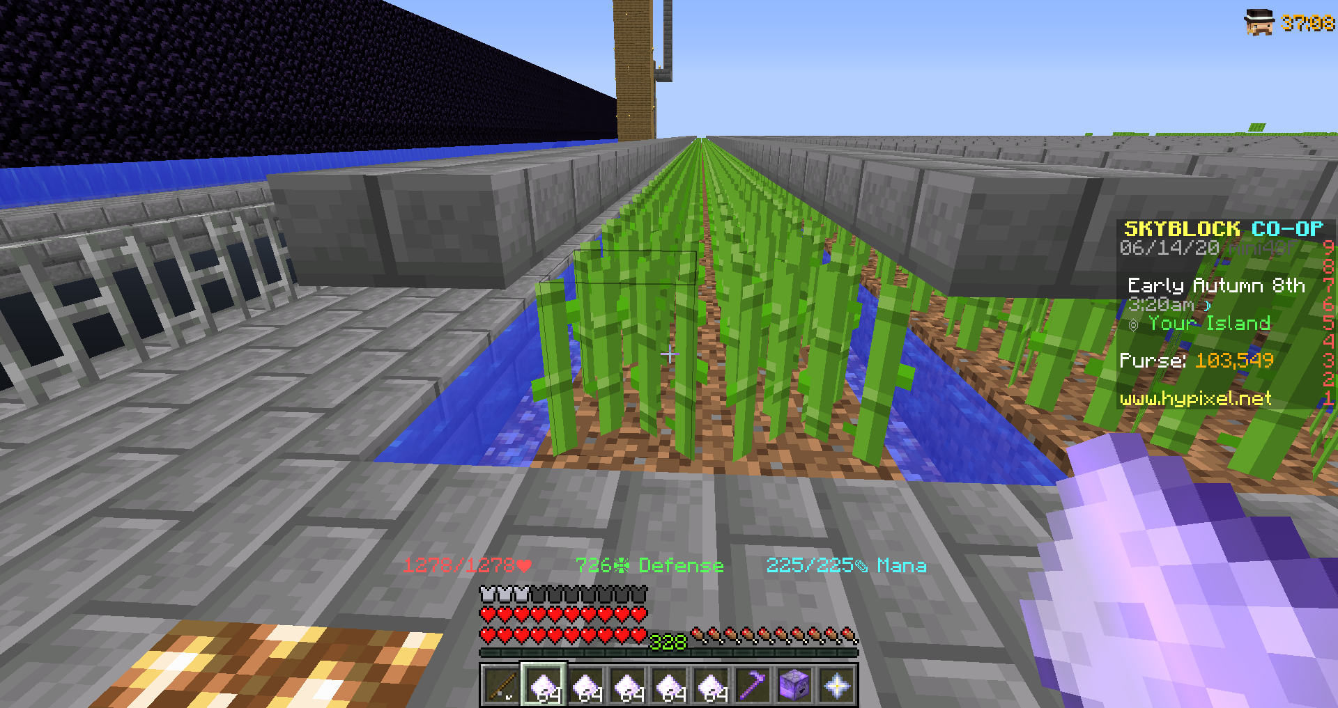 Farming Pumpkins and Sugarcane Guide - Hypixel Skyblock  Sirknightj